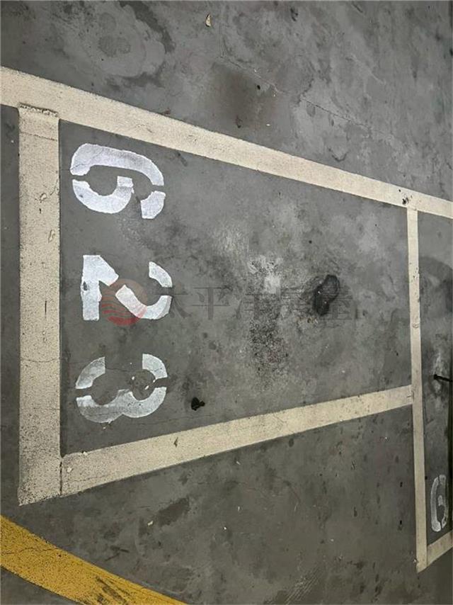 B61東京高樓景觀四房（室）車,新北市新莊區新樹路