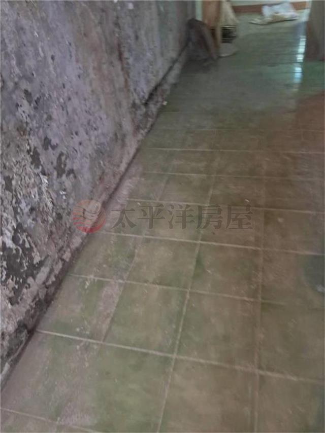 E124新店透天2,新北市新店區安泰路