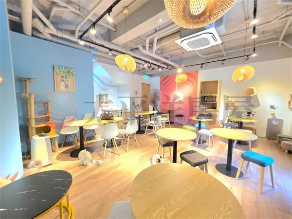 C009-副都心貓貓有約店面,新北市新莊區中港路