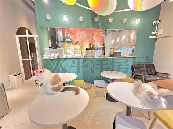 C009-副都心貓貓有約店面,新北市新莊區中港路