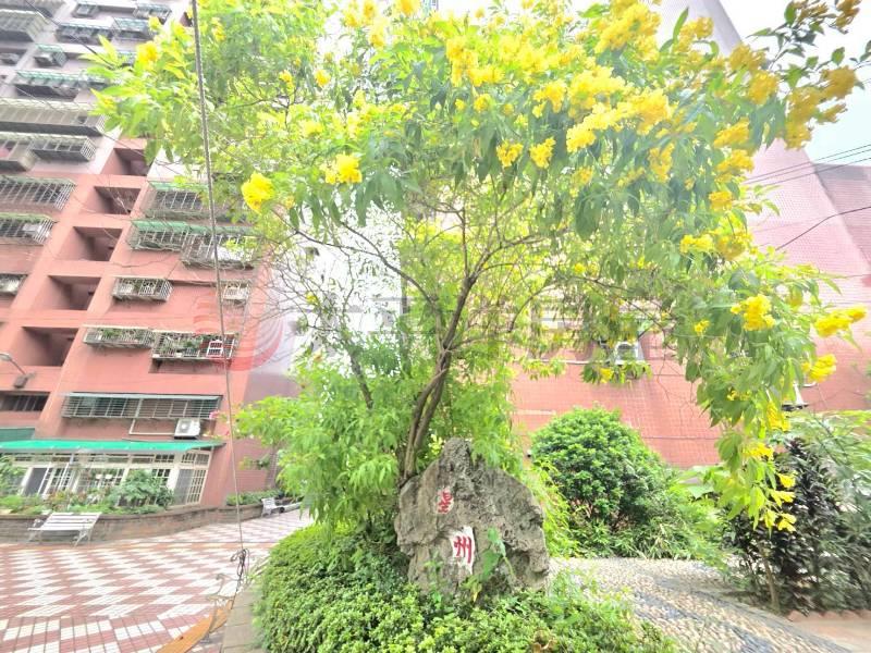 E030-台北星洲挑高名師設計,新北市五股區成泰路一段