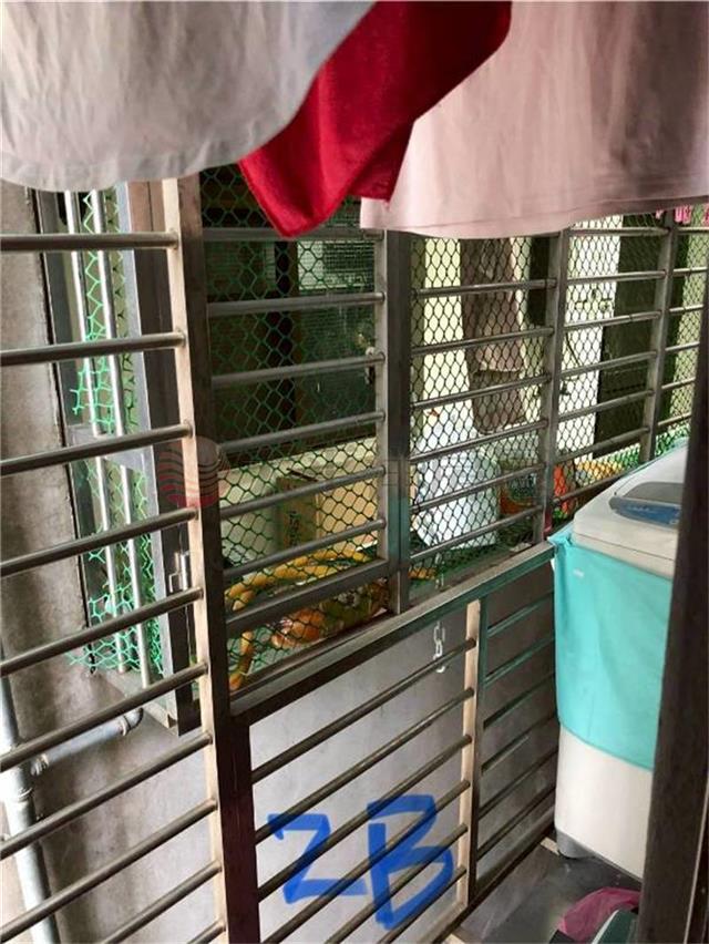 E210菜寮2樓雙寶收租王,新北市三重區大同南路