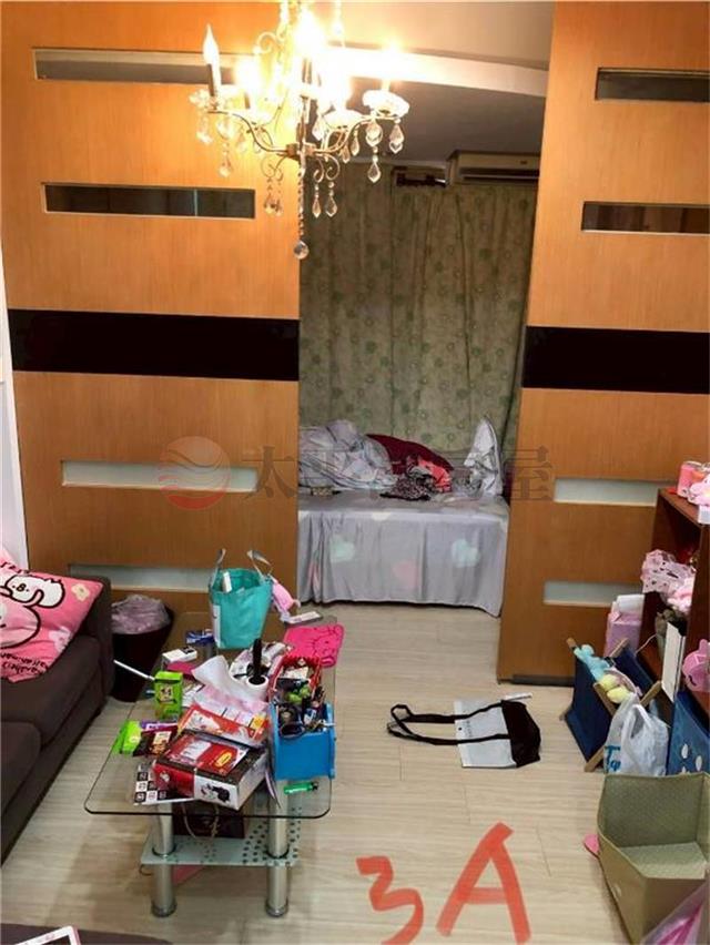 E227菜寮二套流金雞母,新北市三重區大同南路