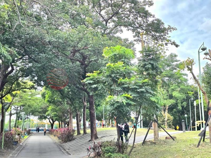 A019-棒球場運動中心大空間頂佳,新北市新莊區中和街