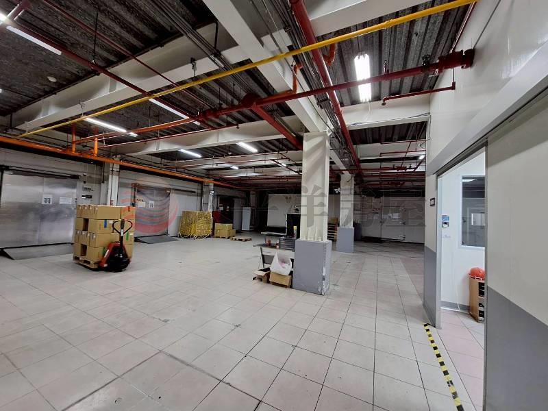 A038-新莊千坪級電梯企業總部廠房,新北市新莊區新樹路