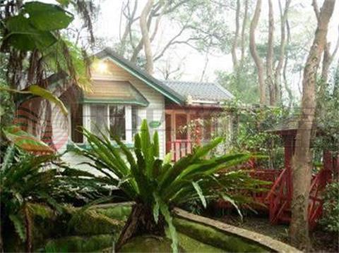 E236三義獨棟森林民宿,苗栗縣三義鄉雙潭村