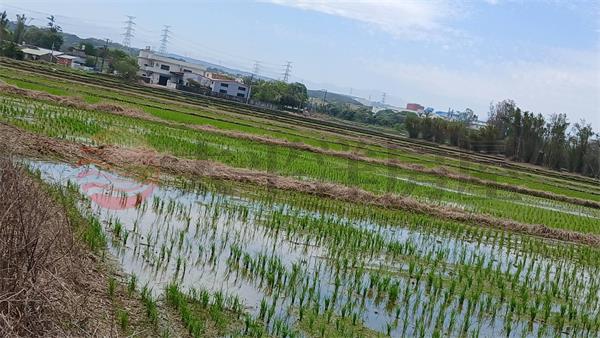D56楊梅特農地,桃園市楊梅區民豐段