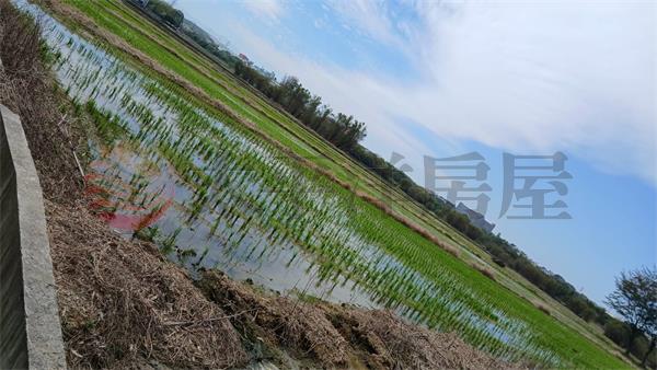 D56楊梅特農地,桃園市楊梅區民豐段