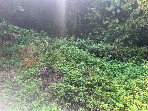 D55臺中縣豐原區新綠山段,台中市豐原區新綠山段