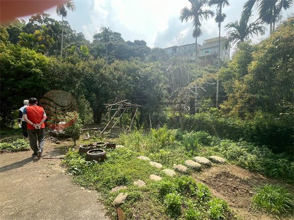 D55臺中縣豐原區新綠山段,台中市豐原區新綠山段