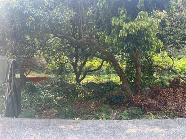 D55臺中縣豐原區新綠山段,台中市豐原區新綠山段