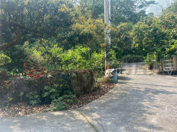 D55臺中縣豐原區新綠山段,台中市豐原區新綠山段
