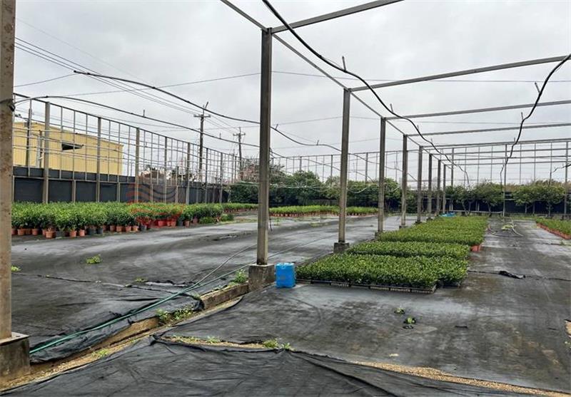 楊梅臨路溫室農牧用地,桃園市楊梅區下陰影窩段