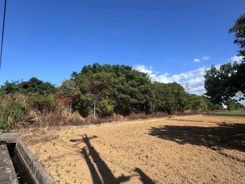 新屋雙面臨路農地（專約）,桃園市新屋區0