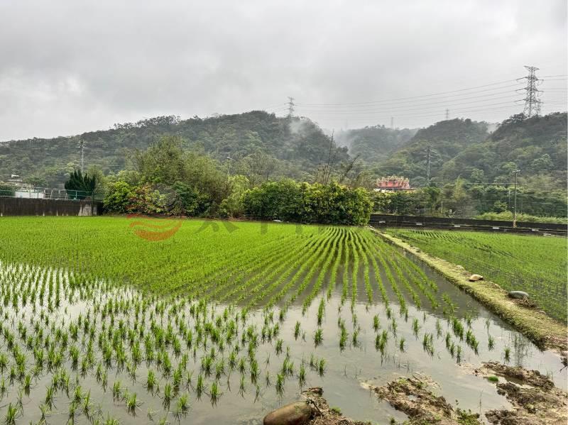 新竹新埔新北段優質農地,新竹縣新埔鎮新北段