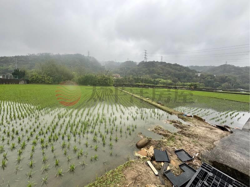 新竹新埔新北段優質農地,新竹縣新埔鎮新北段