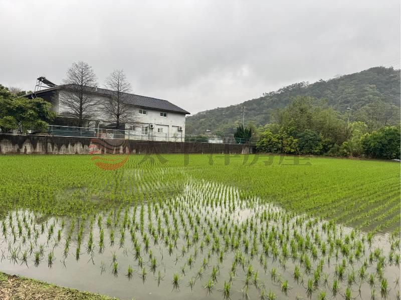 新竹新埔新北段優質農地,新竹縣新埔鎮新北段