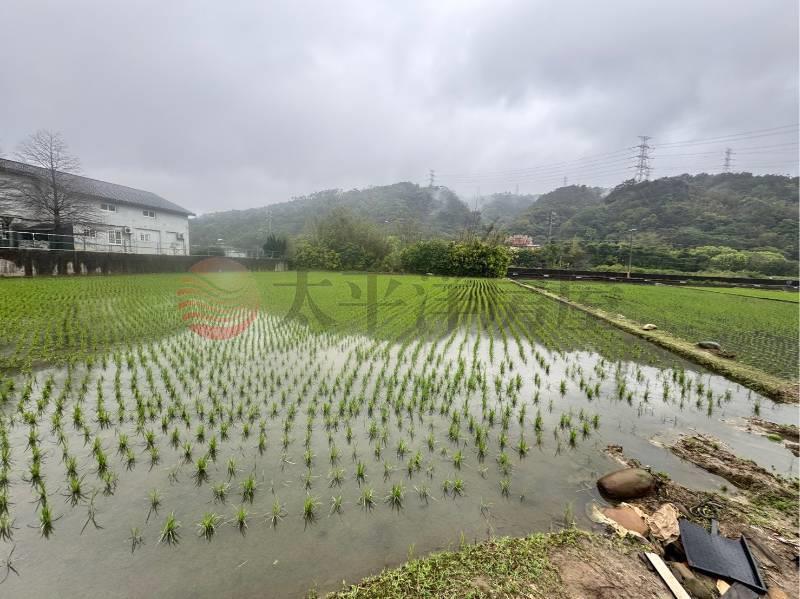 新竹新埔新北段優質農地,新竹縣新埔鎮新北段
