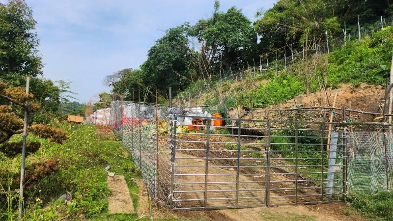 D010-林口保護區農地,新北市林口區瑞平段