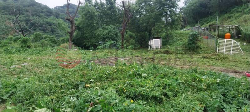 D010-林口保護區農地,新北市林口區瑞平段