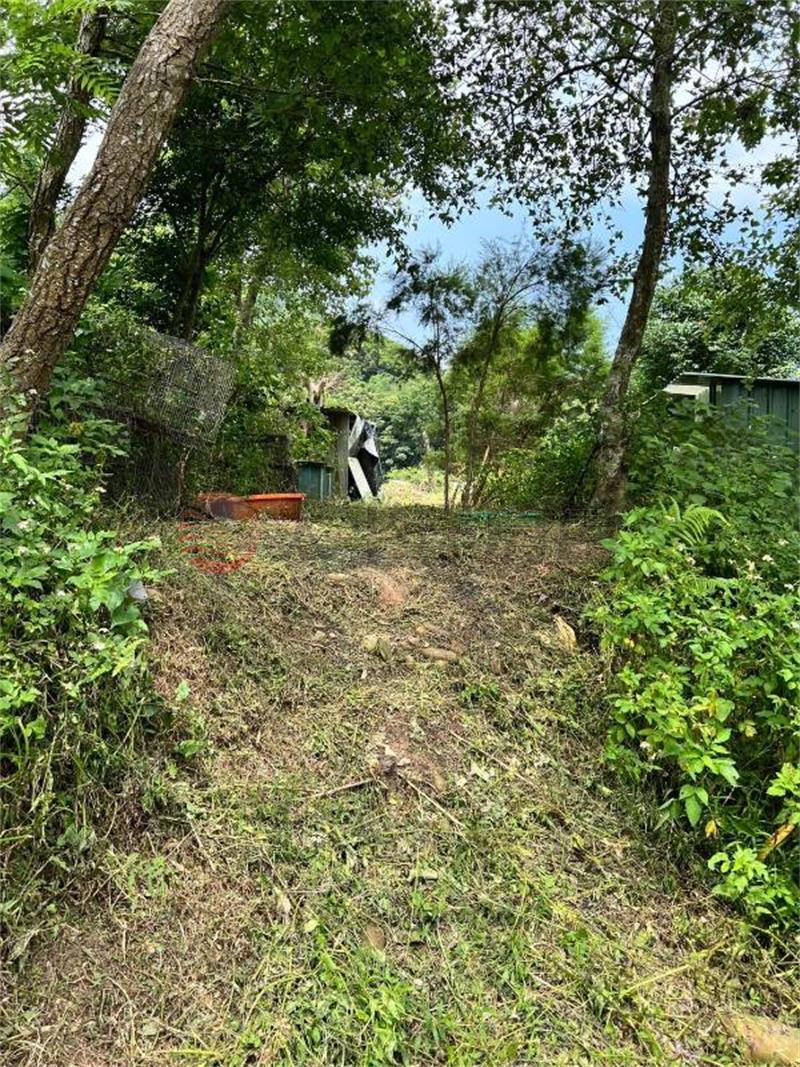 D010-林口保護區農地,新北市林口區瑞平段