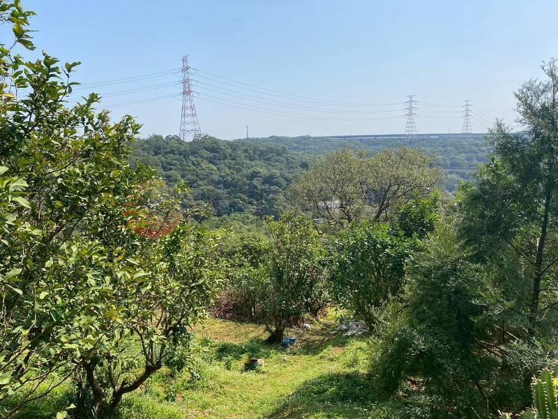 D012-專任 蘆竹赤塗段農業用地,桃園市蘆竹區赤塗段