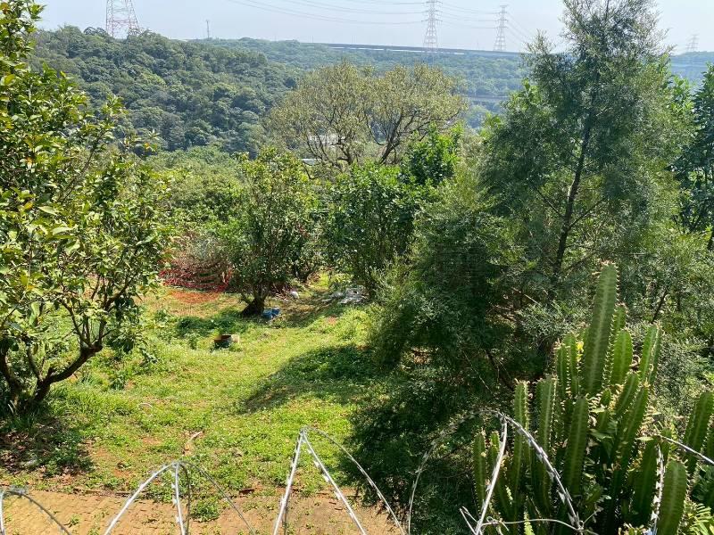 D012-專任 蘆竹赤塗段農業用地,桃園市蘆竹區赤塗段