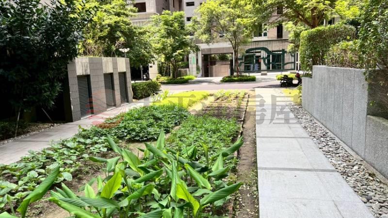 D36新莊-頭前重劃區 《住二用地》,新北市新莊區中原段