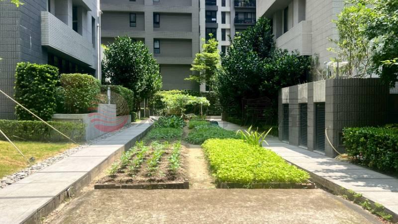 D36新莊-頭前重劃區 《住二用地》,新北市新莊區中原段
