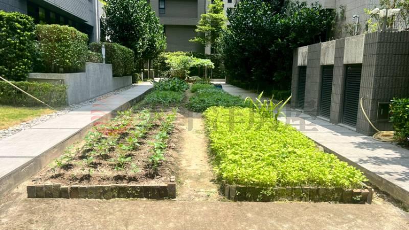D36新莊-頭前重劃區 《住二用地》,新北市新莊區中原段