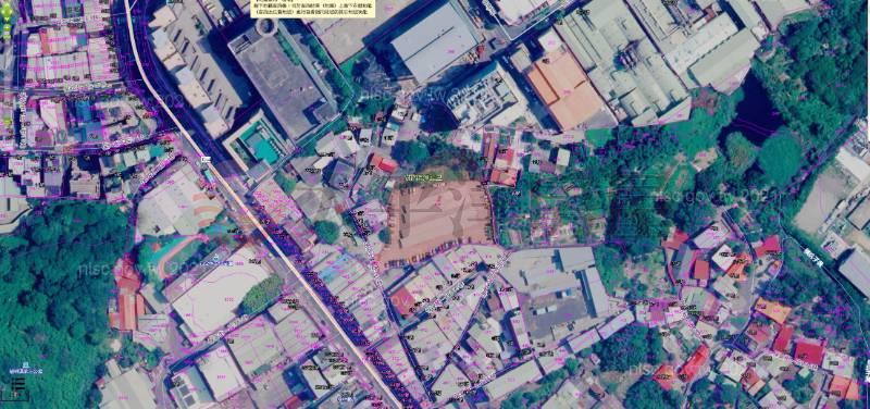 D35樹林乙種工業地,新北市樹林區大安段