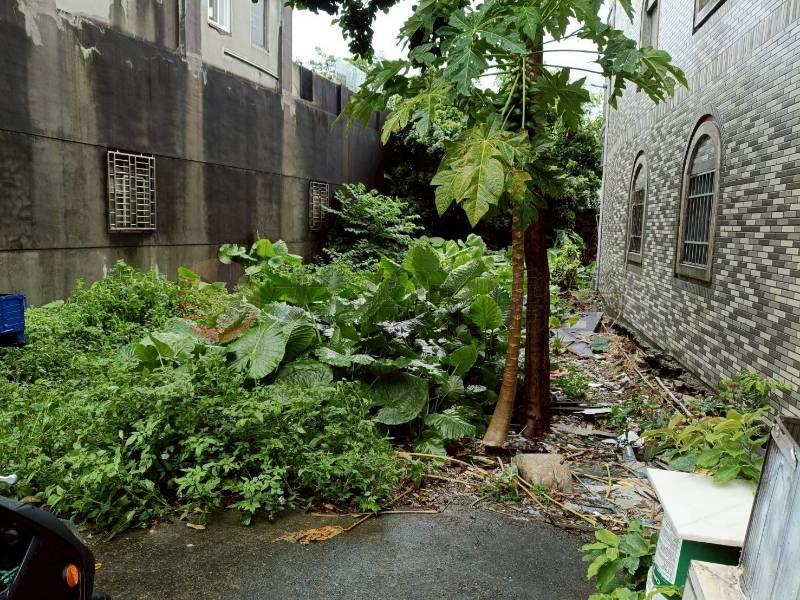 新莊新樹路建地,新北市新莊區新樹段