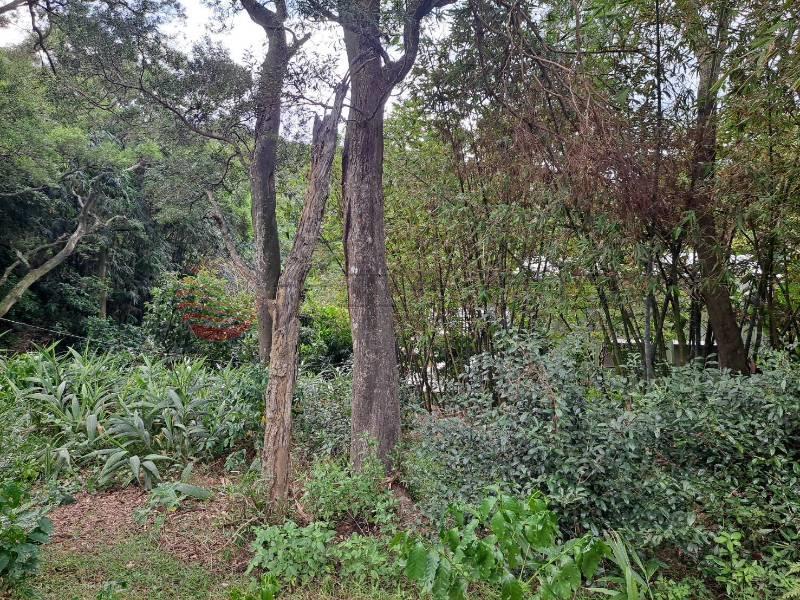 龜山兔子坑保育區,桃園市龜山區桃園區龜山鄉兔子坑段