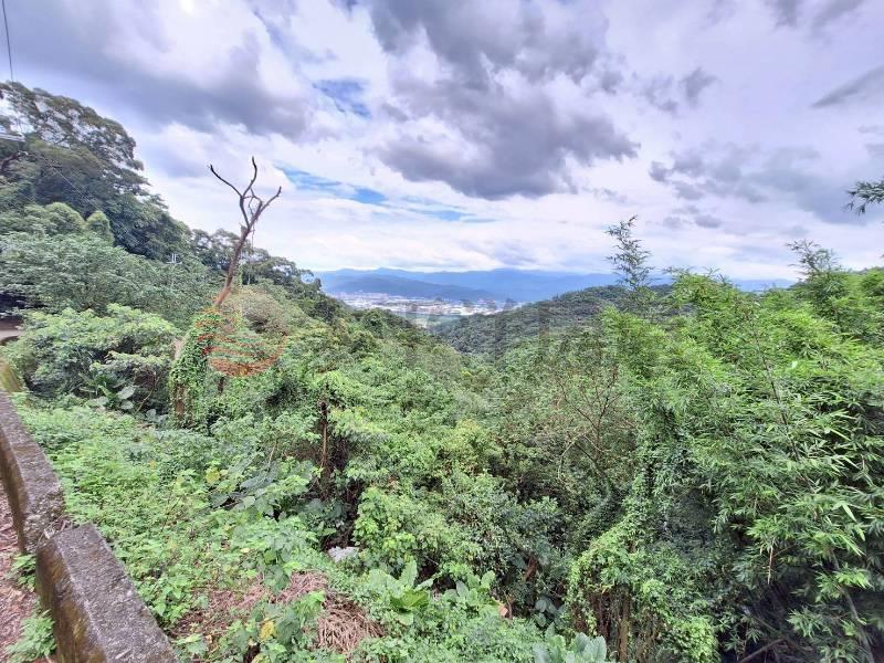 D018-樹林石灰坑段農牧用地,新北市樹林區石灰坑段
