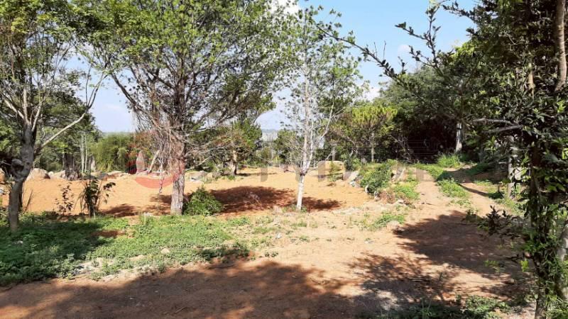 D027-墨硯山360度景觀農地,苗栗縣公館鄉尖山段