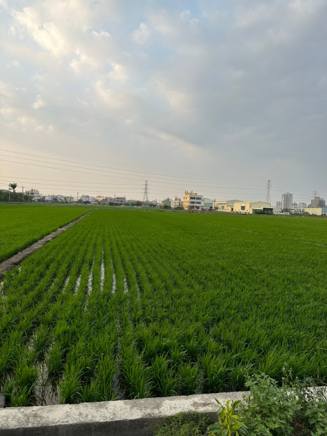 D002-彰化交流道下特定區農地1,彰化縣花壇鄉口庄段